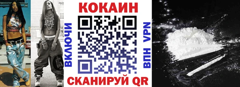COCAIN FishScale  Купить закладки  Канаш 