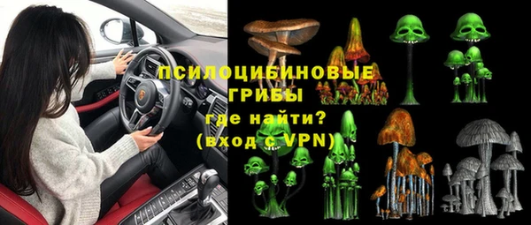 твердый Кодинск